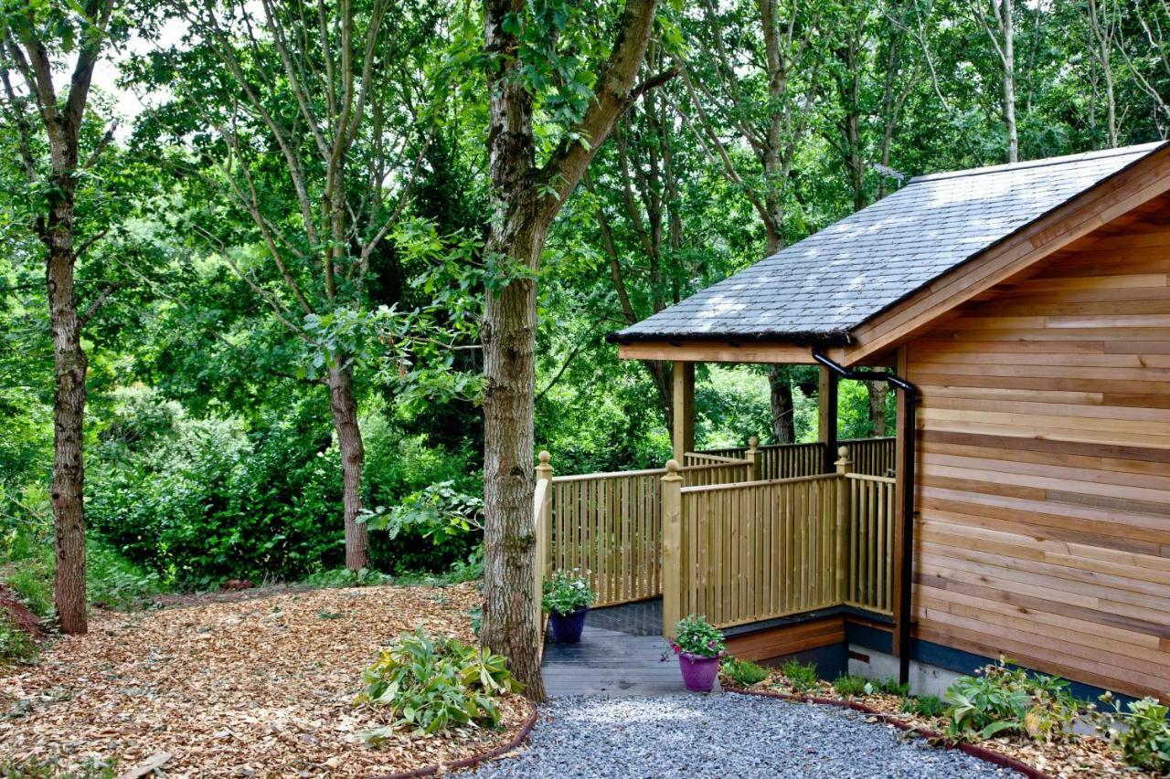 Cedar Lodge, South View Lodges, Exeter Bagian luar foto